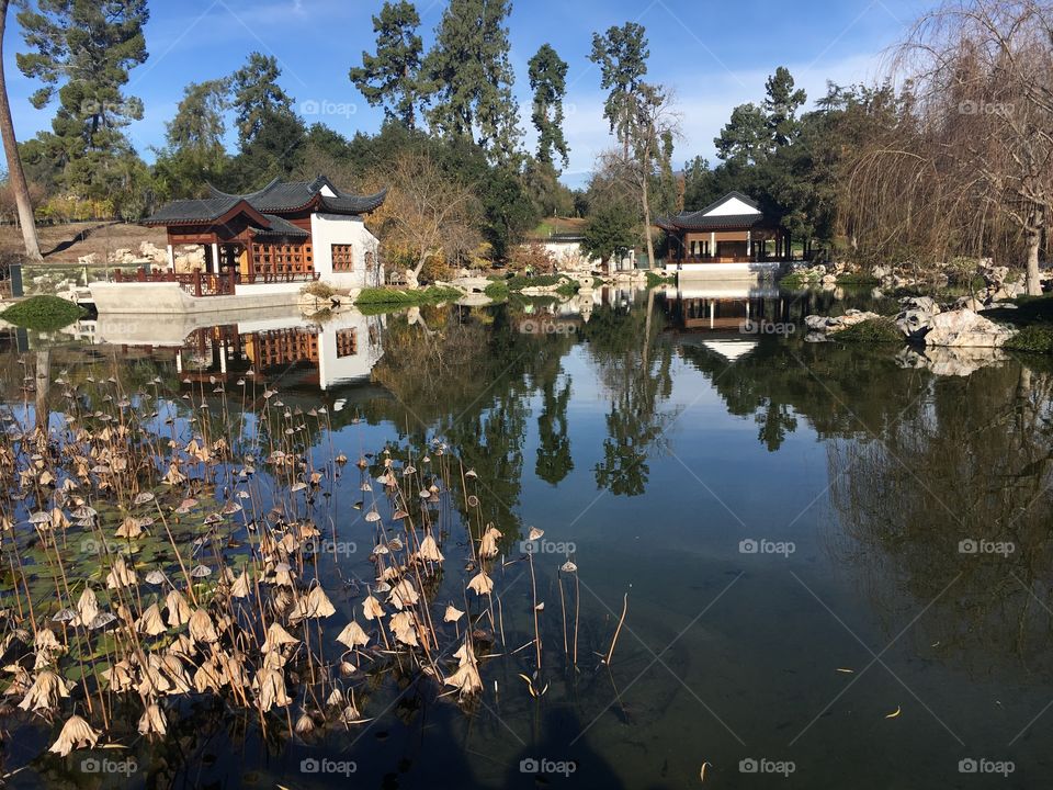 Reflective lake in a Chinese garden, with buildings visible on the opposite side. 