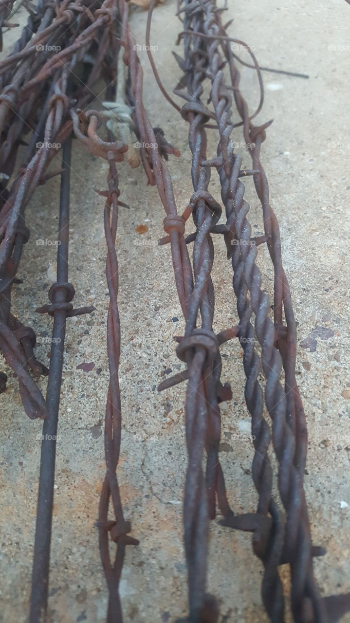 barbed wire