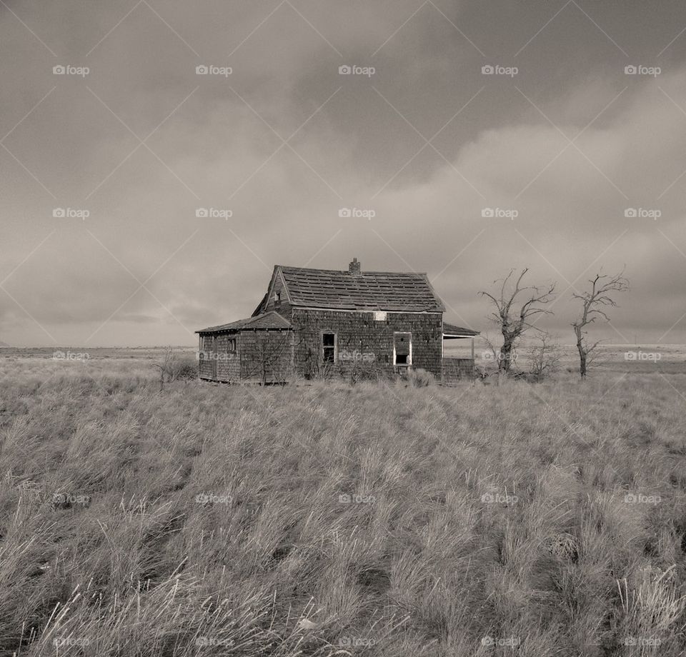 Old wooden house in grass