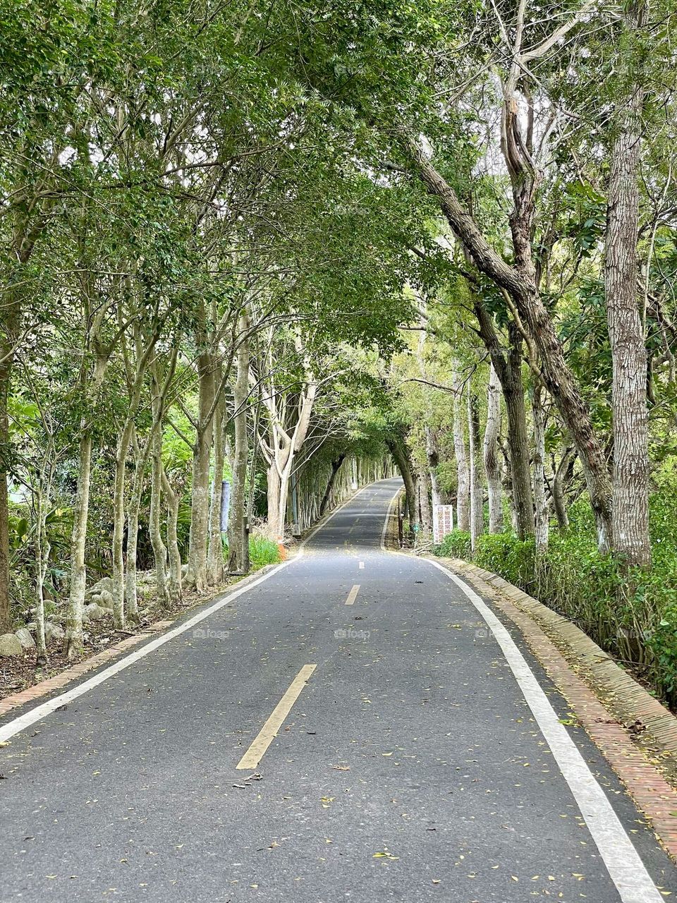 The Green Road Extension