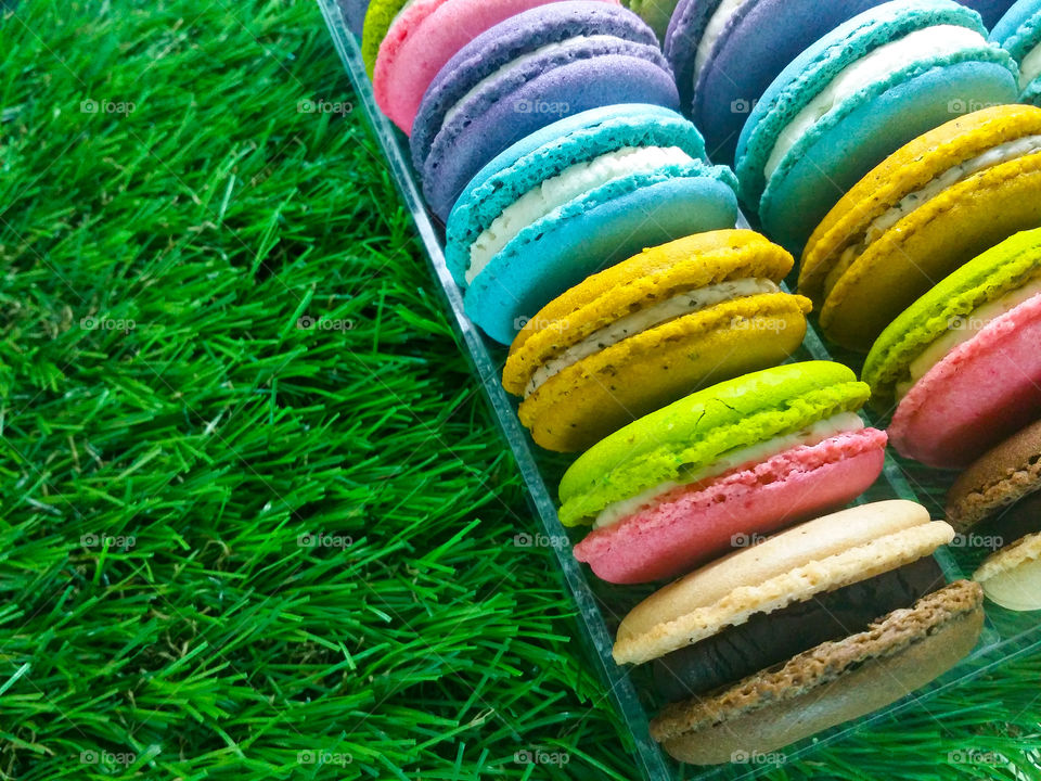Colorful of macaroon on grass.