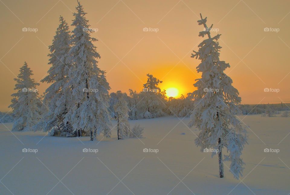 winter sunset