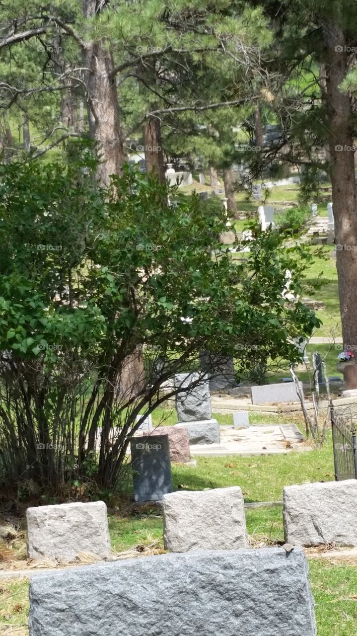 Mount Mariah Cemetery