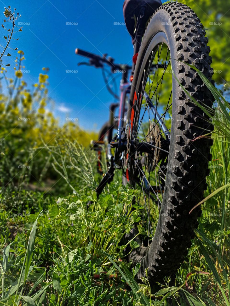 Bicycle with nature