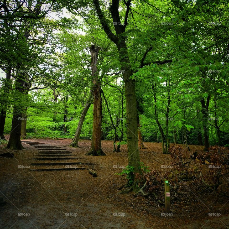 #highgate #park #afternoon #walk