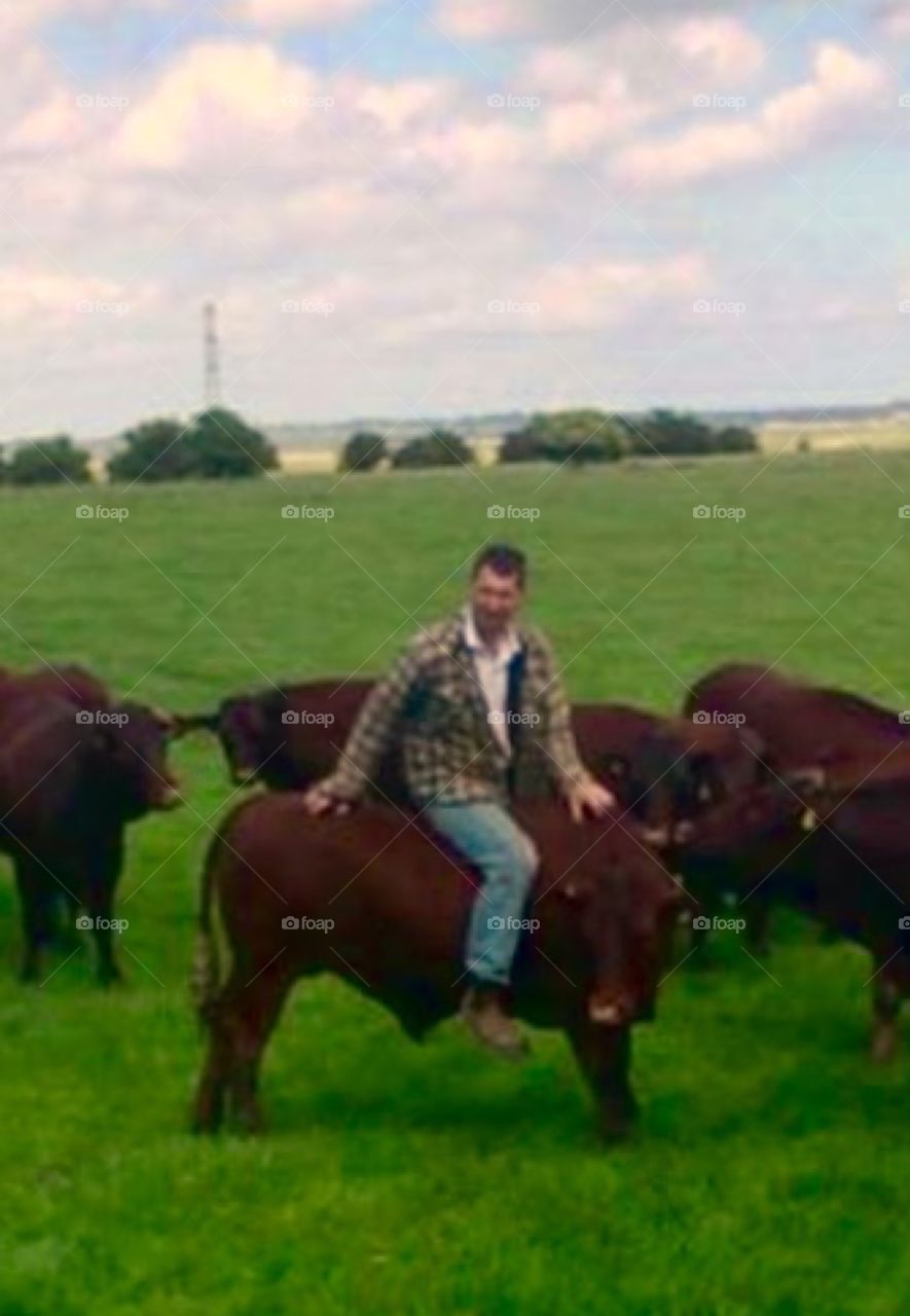 How often do you see the farmer sitting on one of his cattle? Right in the middle of the herd.