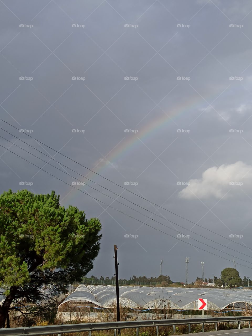 A photo of rainbow on a cloudy and dark grey sky and a tree, street and greenhouses