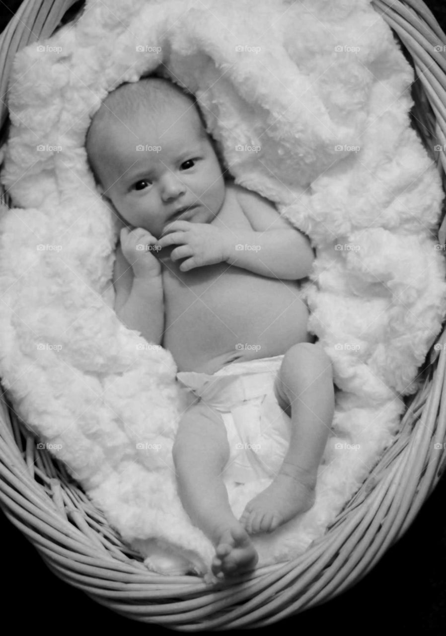 Newborn baby photo shoot, black and white and perfectly innocent