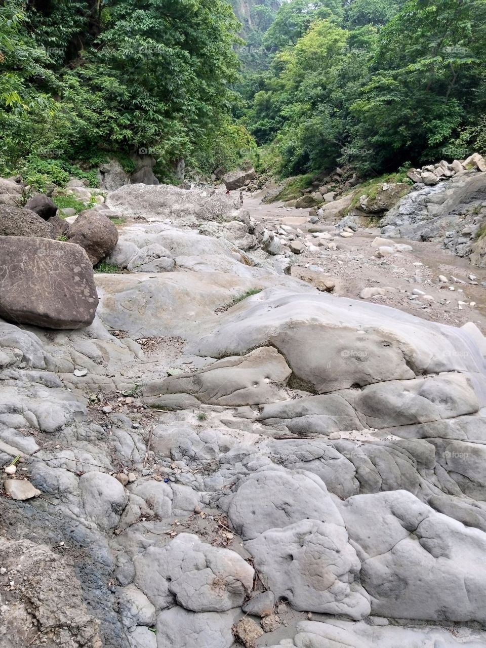 front down view of the river when flowing water