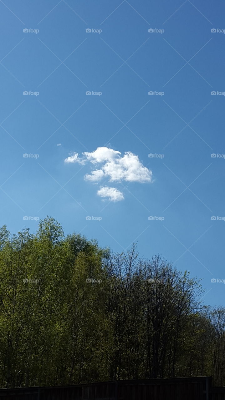 single cloud in  the sky