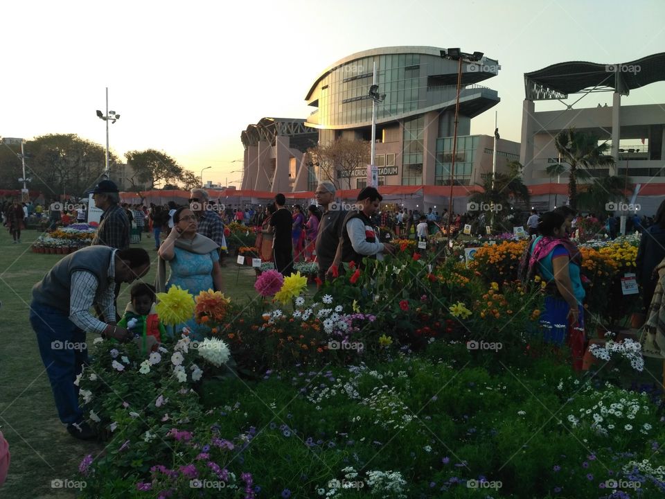 Noida stadium flower show
