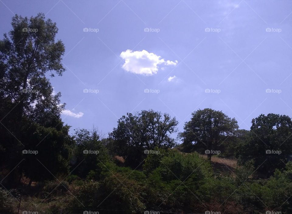 Battle: Countryside vs City