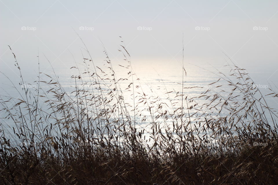 Straws in the sunset beach 