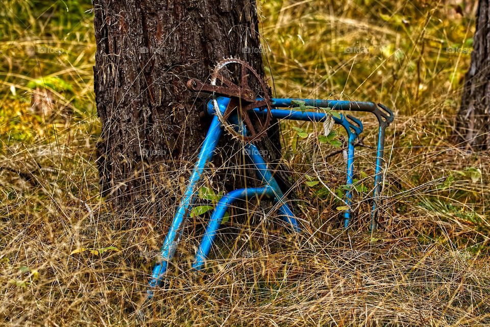 old bike in the  forest