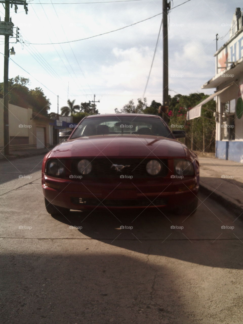 Mustang