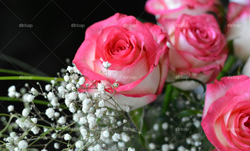 Rose, Flower, Wedding, Bouquet, Romance