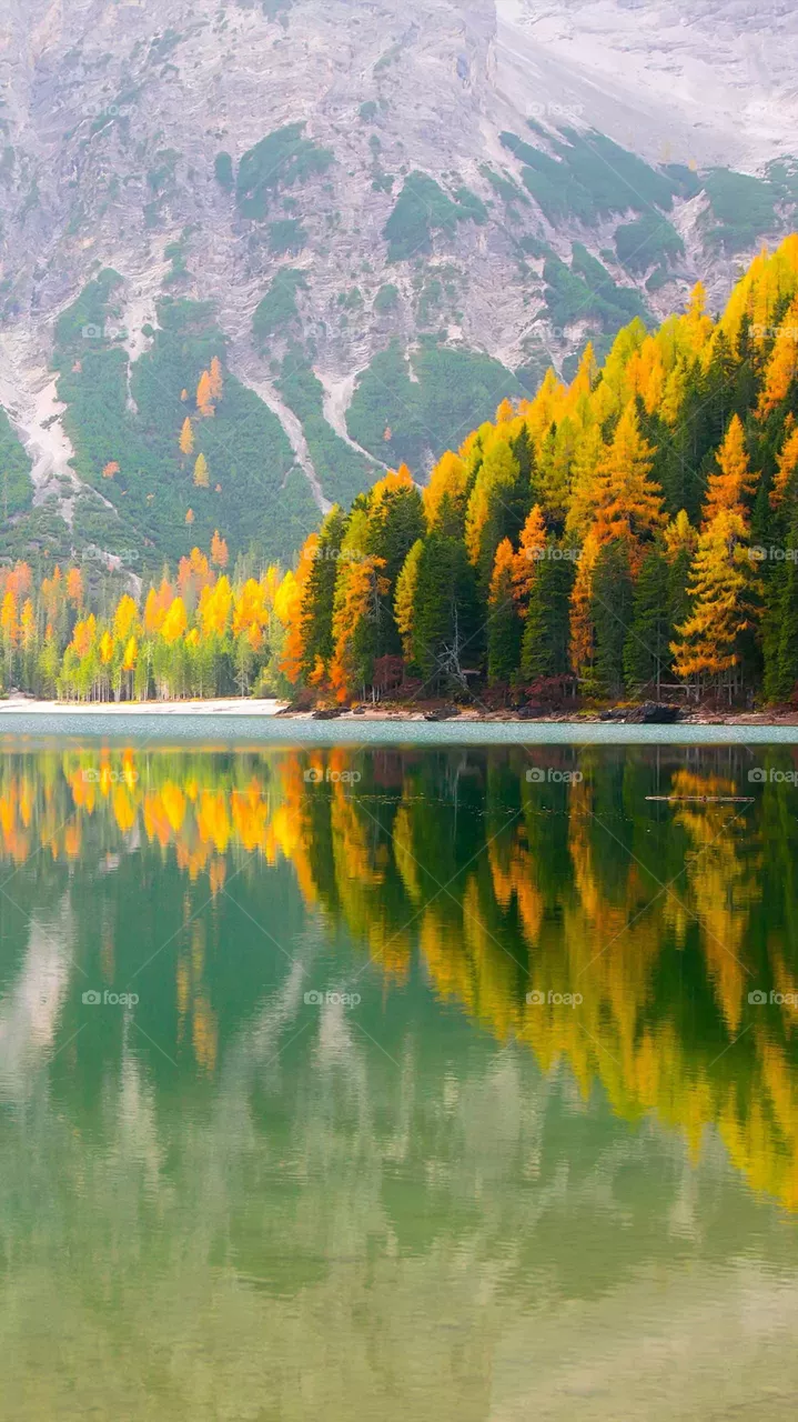 Beauty from USA