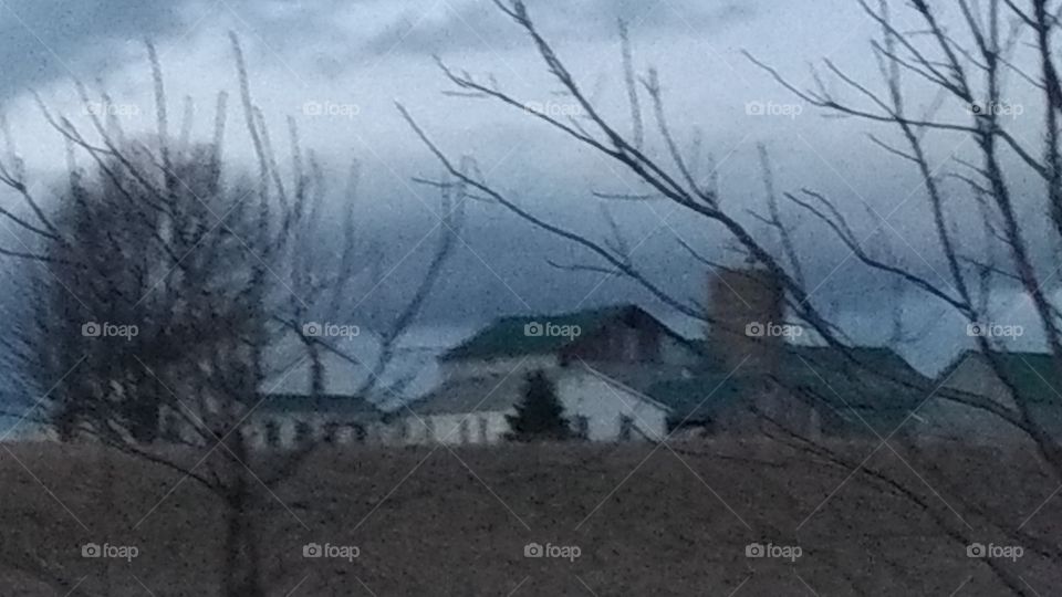 Winter, Snow, Tree, Landscape, No Person