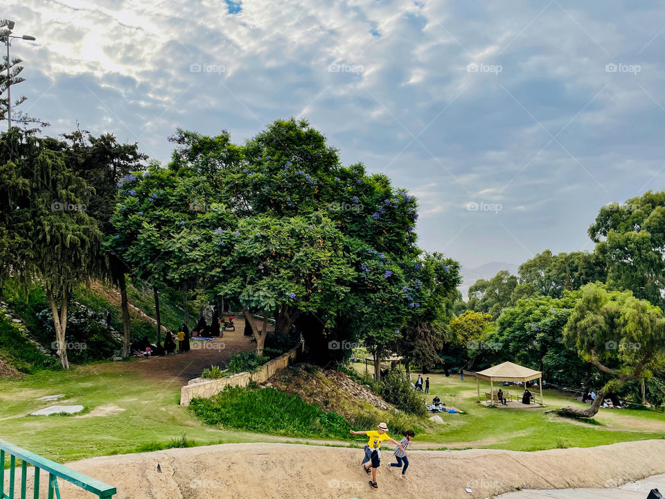 The magical outside. Kids playing in the park 