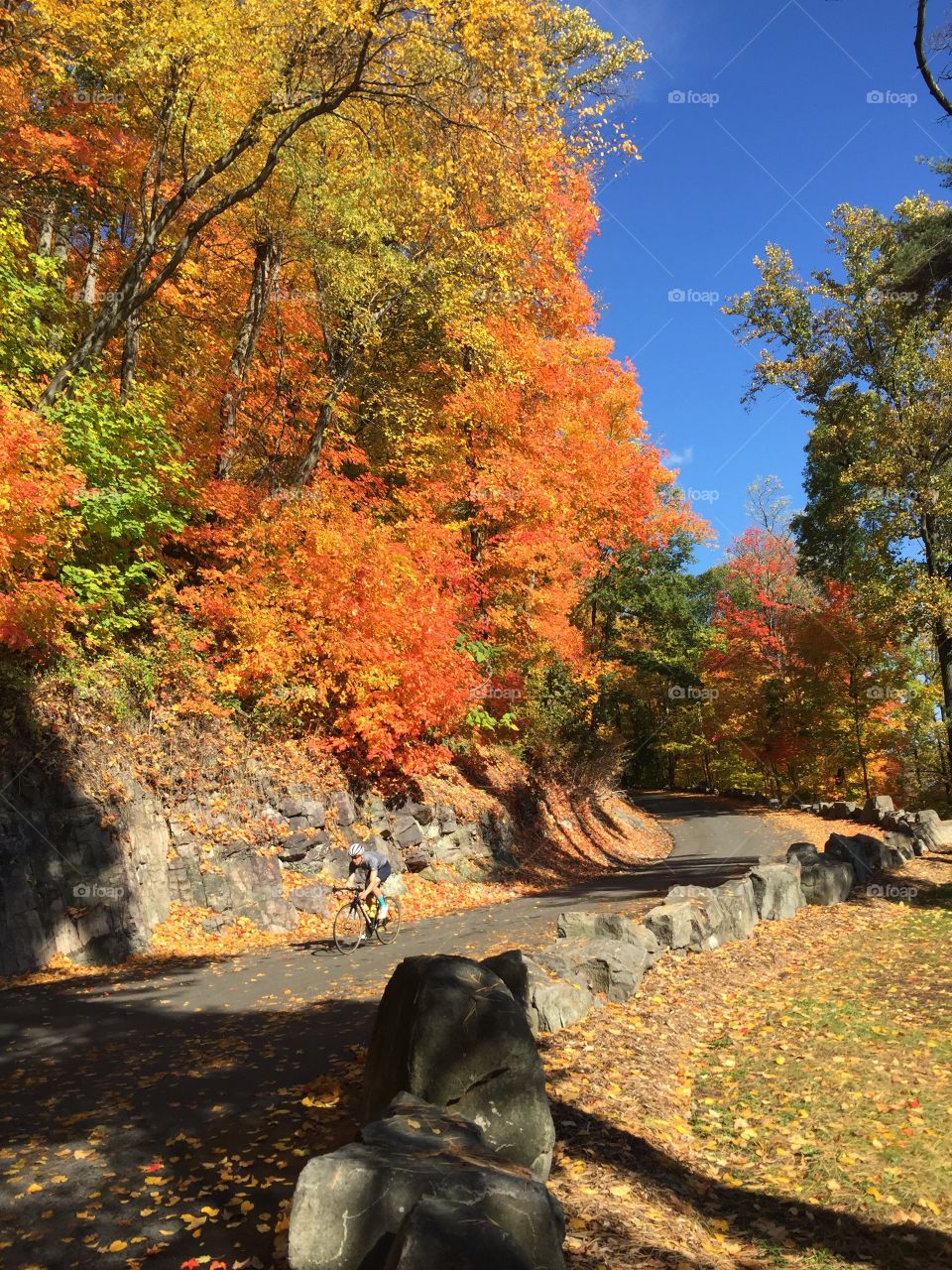 Fall colors bottom of Rangers Station Climb - Palisades Park, NJ