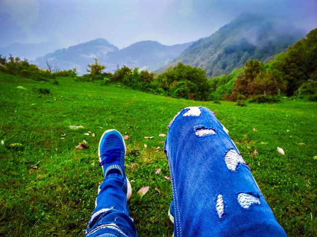 beautiful nature view