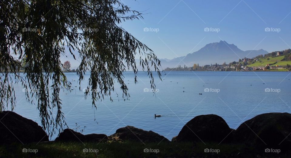 Panorama Of Lake Lucerne