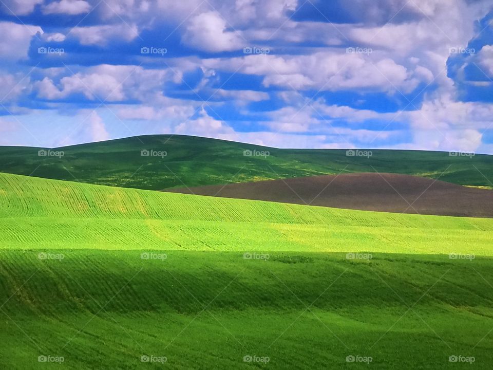 Washington green land 