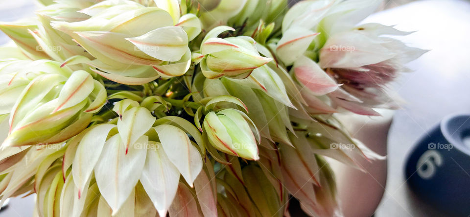 Beautiful table flowers at a restaurant