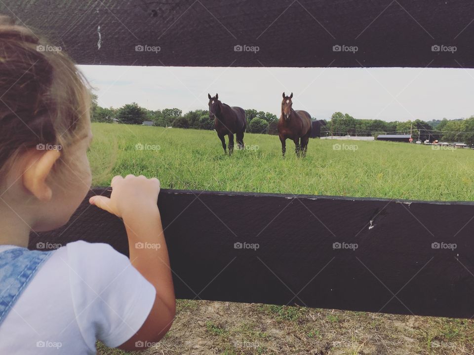A girl that loves horses