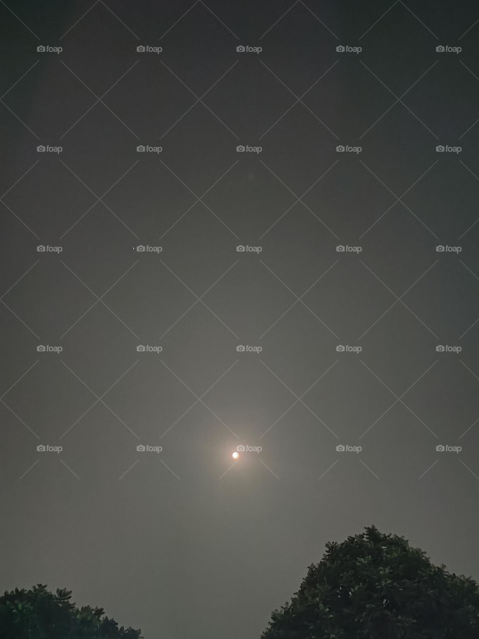 moon in the night view.