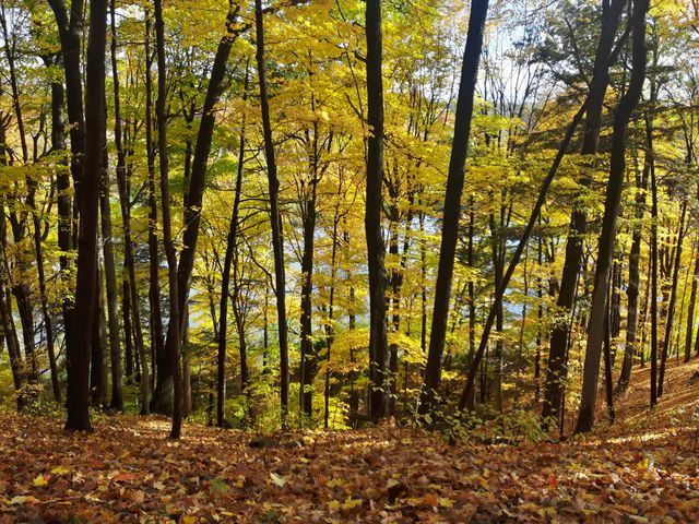 Fall lake