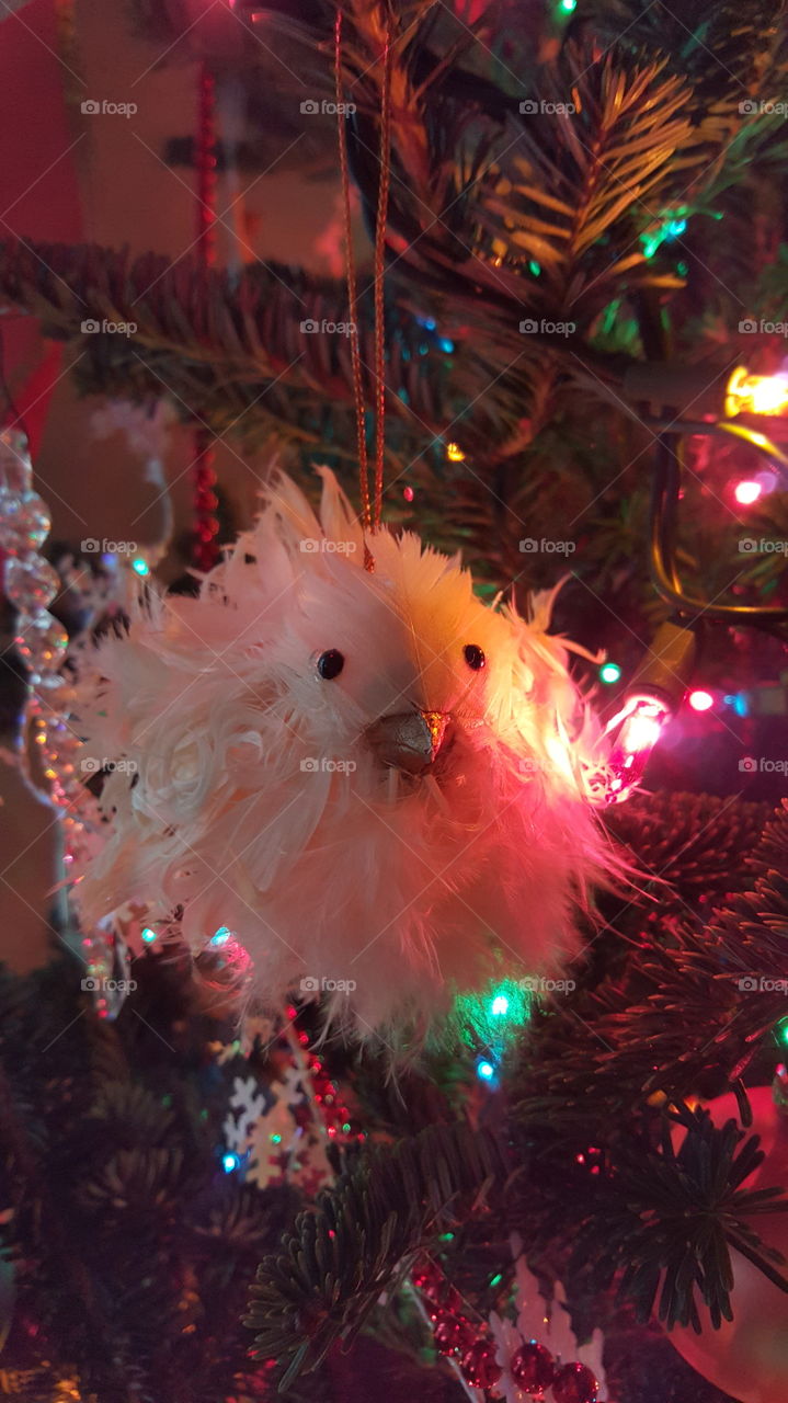 Christmas tree chick