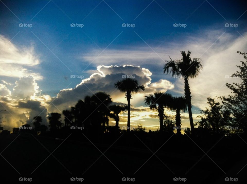 Cloudy day. Cloudy day and palm trees in south Florida