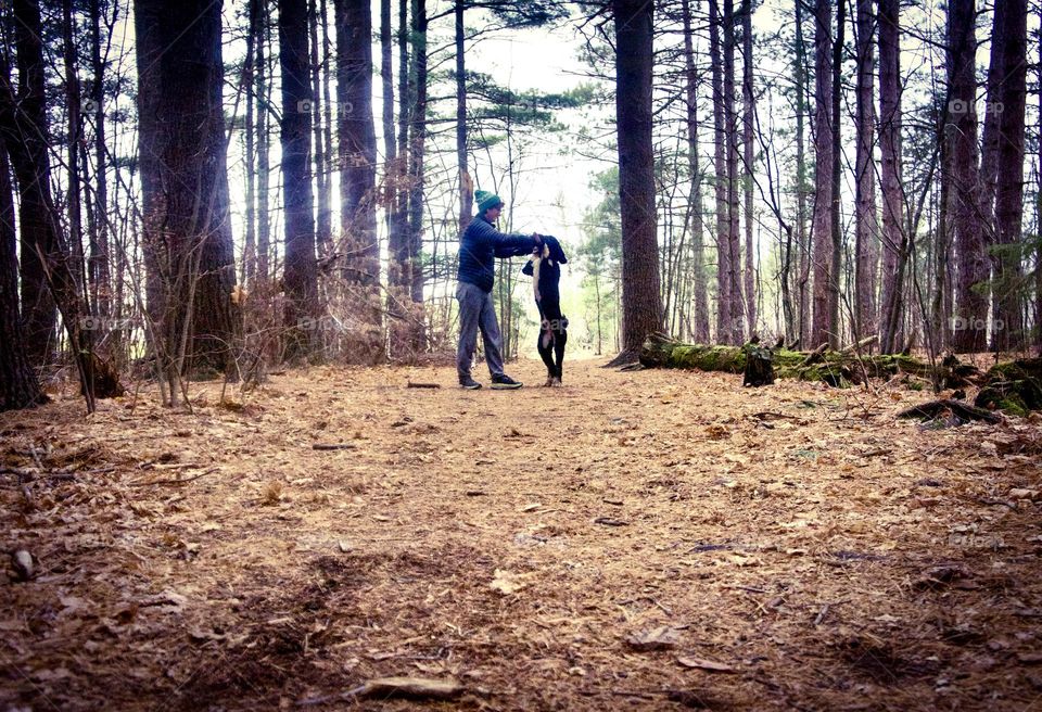 A boy and his dogs playing in the woods.