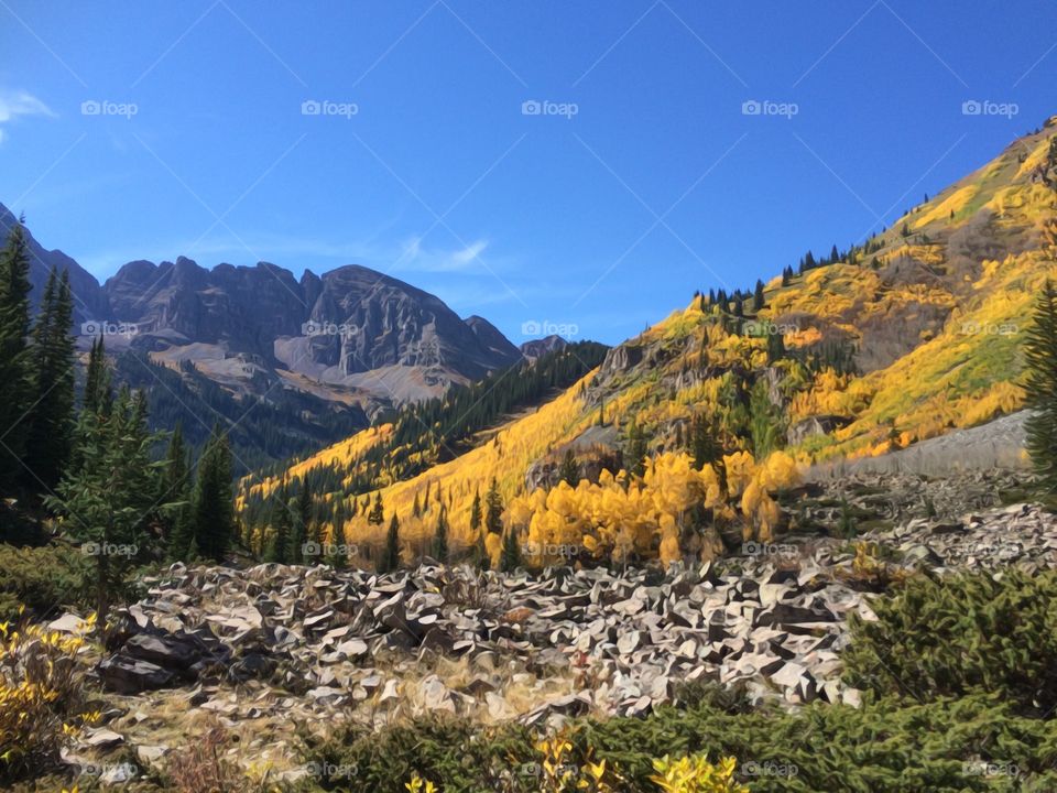 Scenic view of autumn