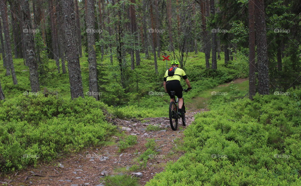 Biking in the woods