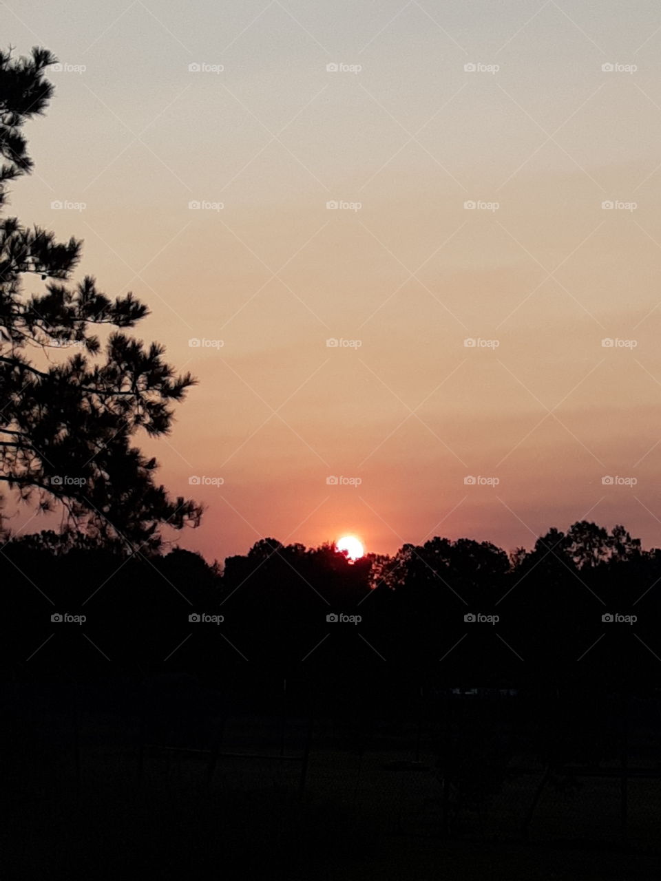 Louisiana sunrise
