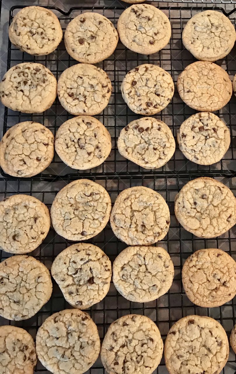 Chocolate chip cookies cooling 