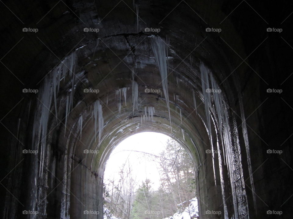 Winter Tunnel. A photo shot on a hiking trail in Southwest Virginia during the winter.