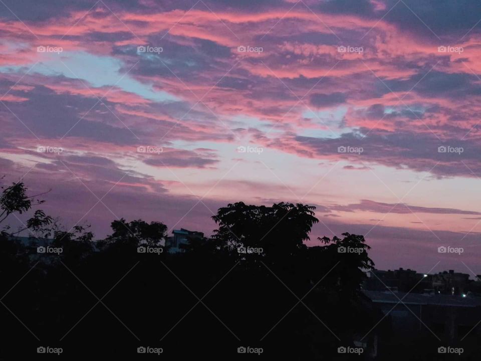 A pinky pink sky