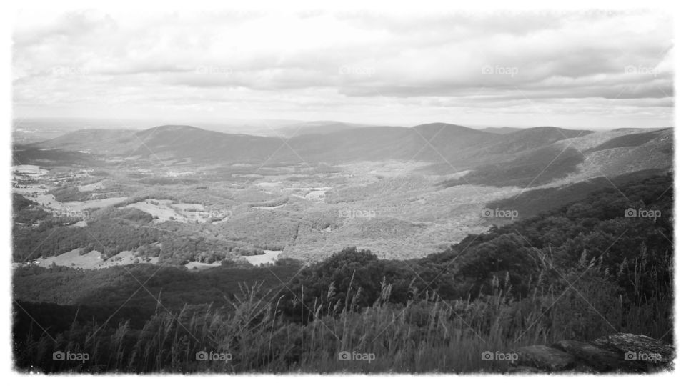 valley from skyline drive