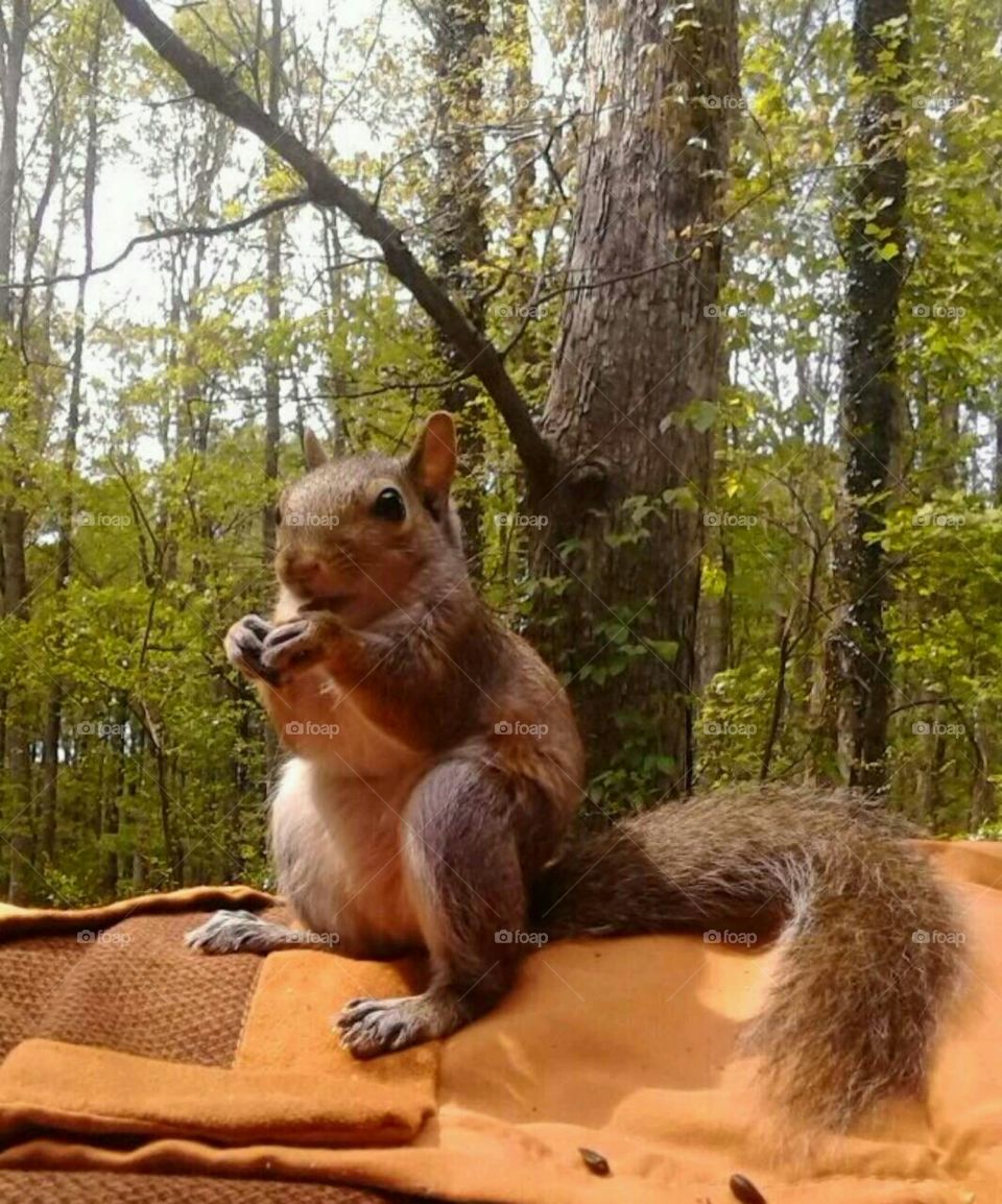 "Hope "my friend ☺