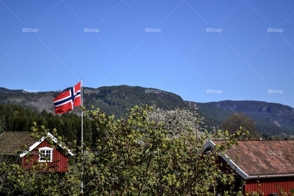 Norwegian Flag 