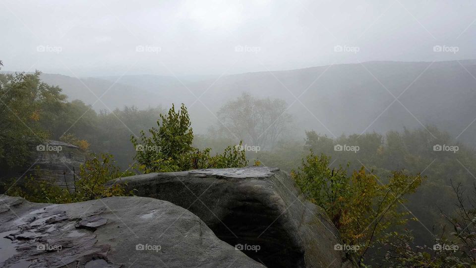 Misty morning on the mountain.