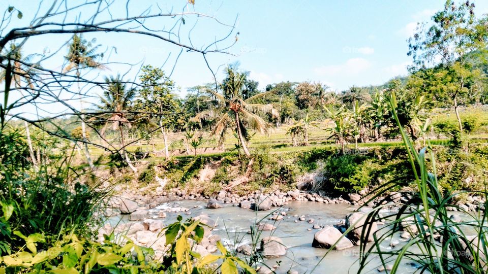 View of the surrounding river
