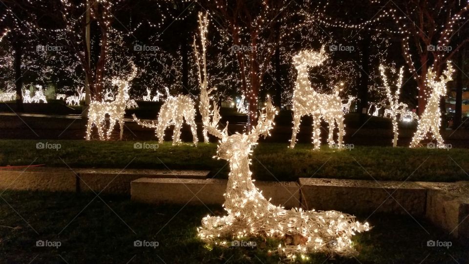 Christmas Lights in Richmond, VA in December 2014.