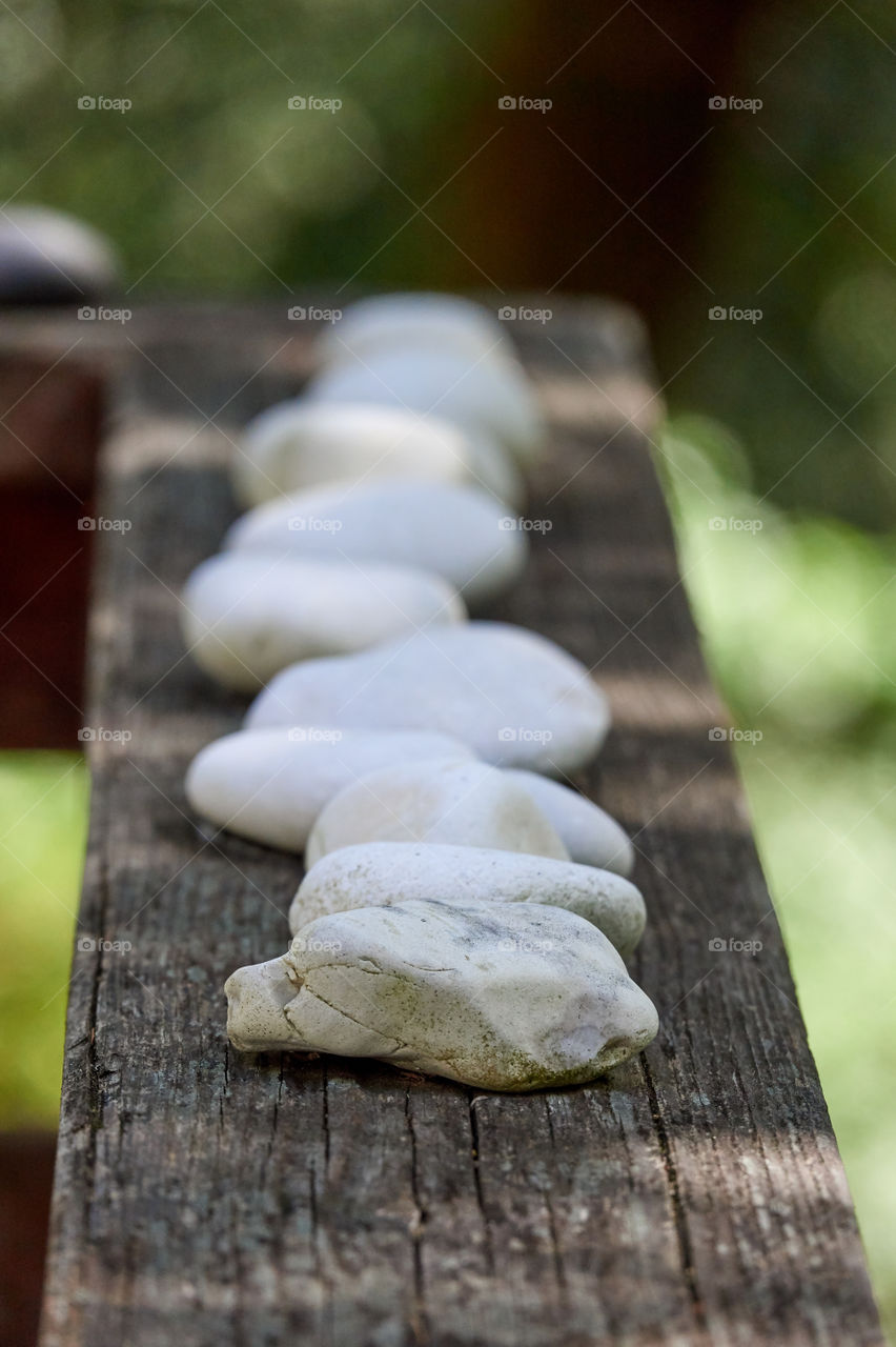 White stones on a wooden railing, surrounded by the verdant green and sunlight of a forest.