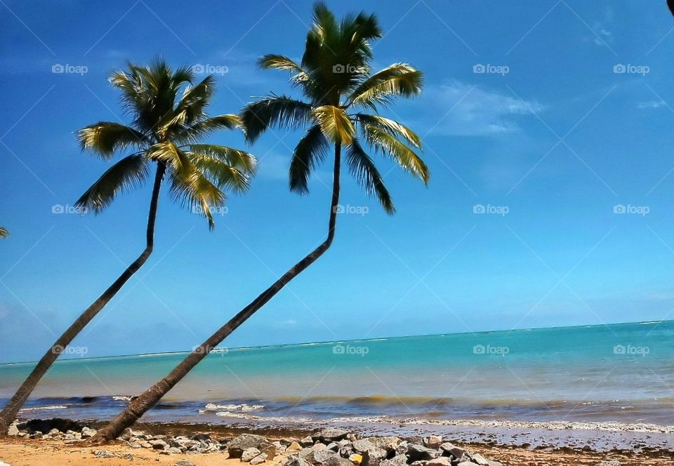 My favorite destination, Maceió Alagoas -Brazil, with its beautiful beaches, lots of sun and heat.  Known as the Brazilian Caribbean.