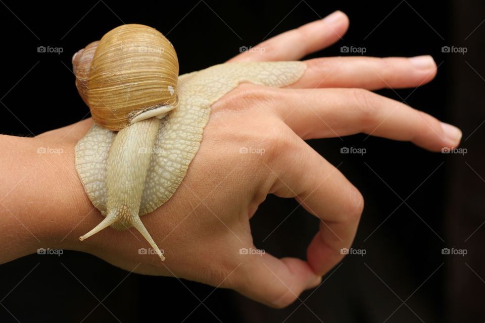 A human and a snail connected, a snail on my hand. The Nature will be Okay!