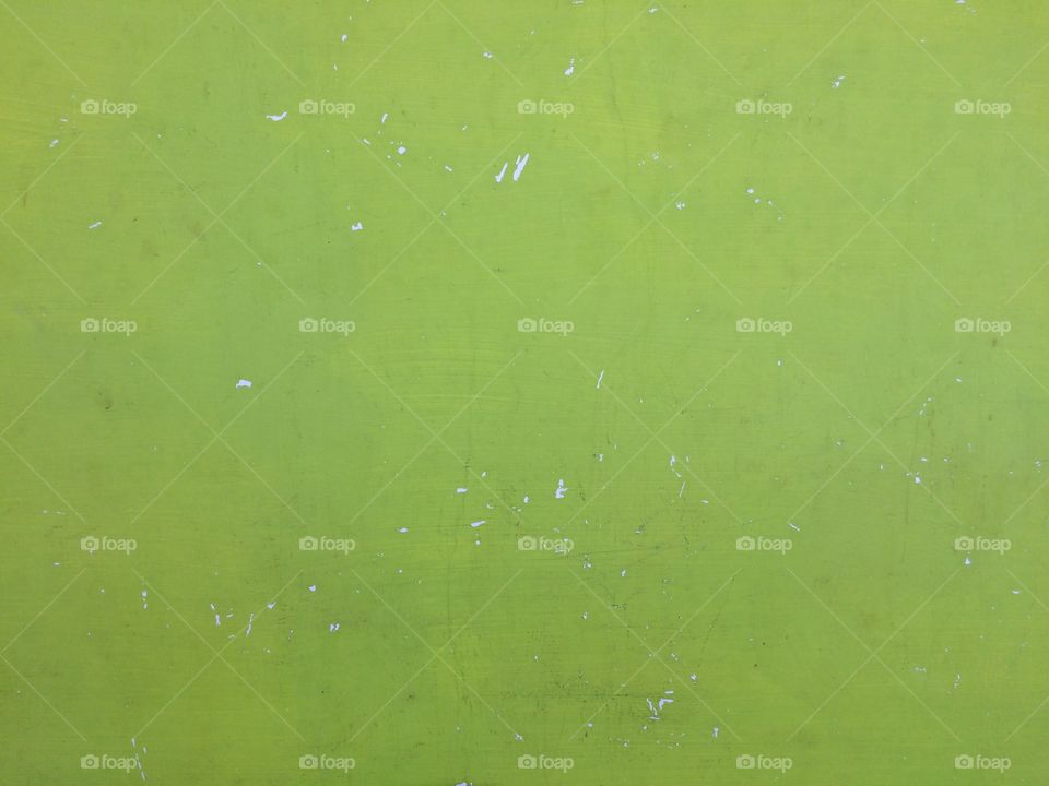 Close-up of green wall